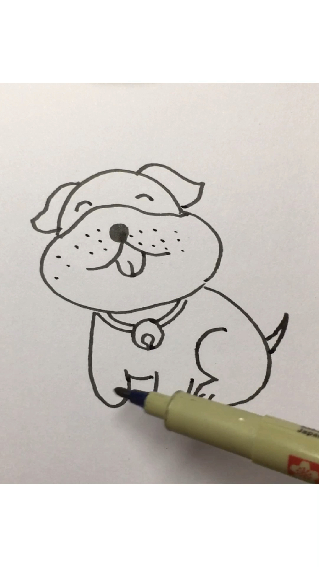 简笔画启蒙,一只哈巴狗