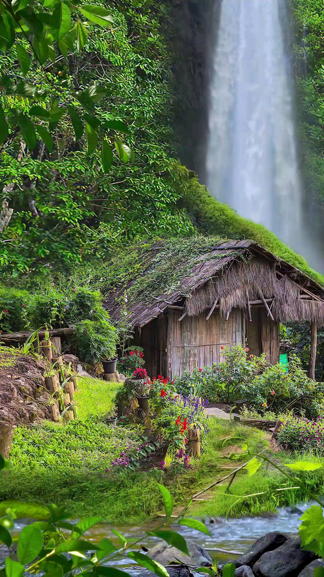 世外桃源#细想想,一辈子住在这,不争不抢远离世俗,也挺好