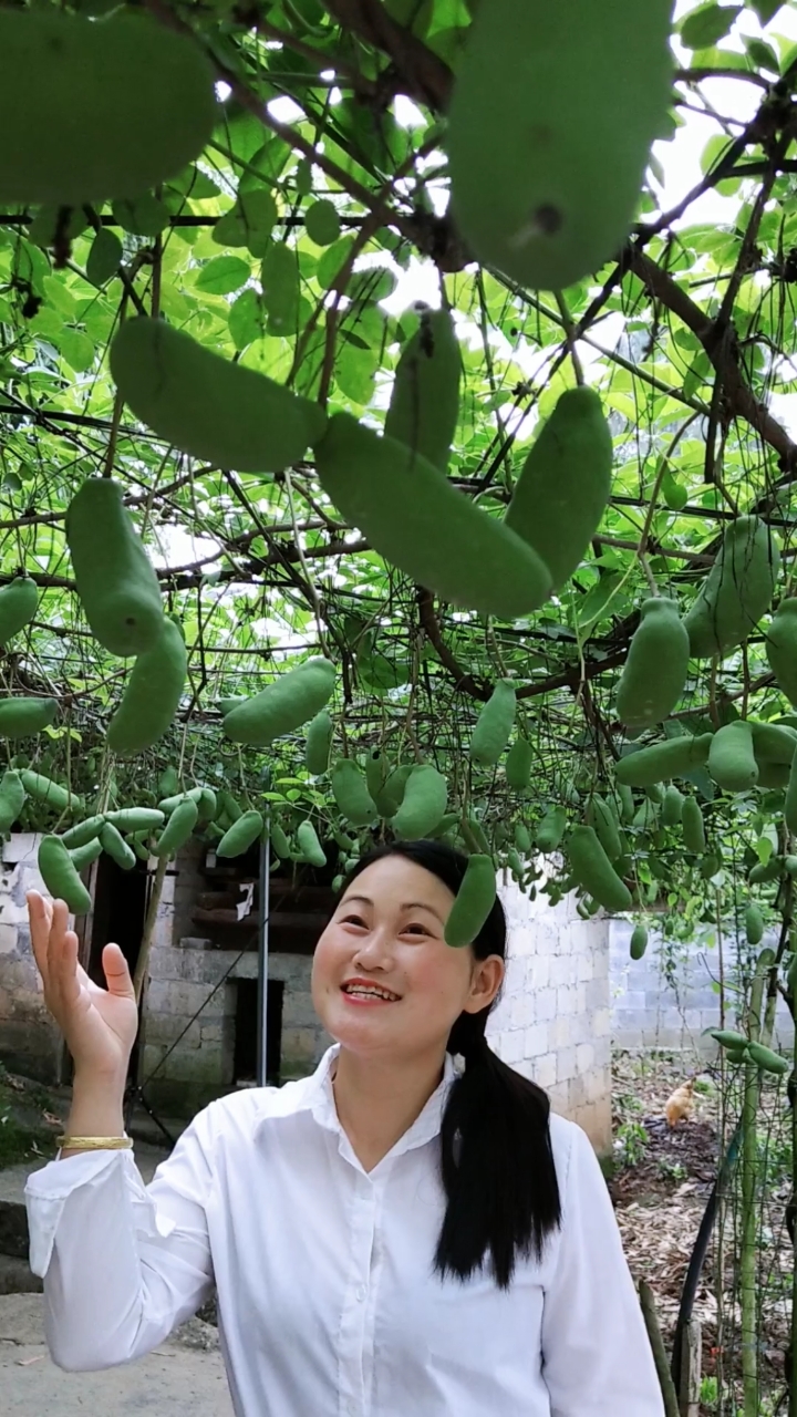 作品推广#院子里的七月瓜!