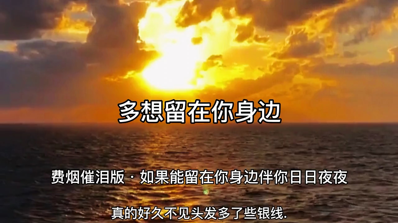 扎心情感语录#爱情到底为什么那么让人向往