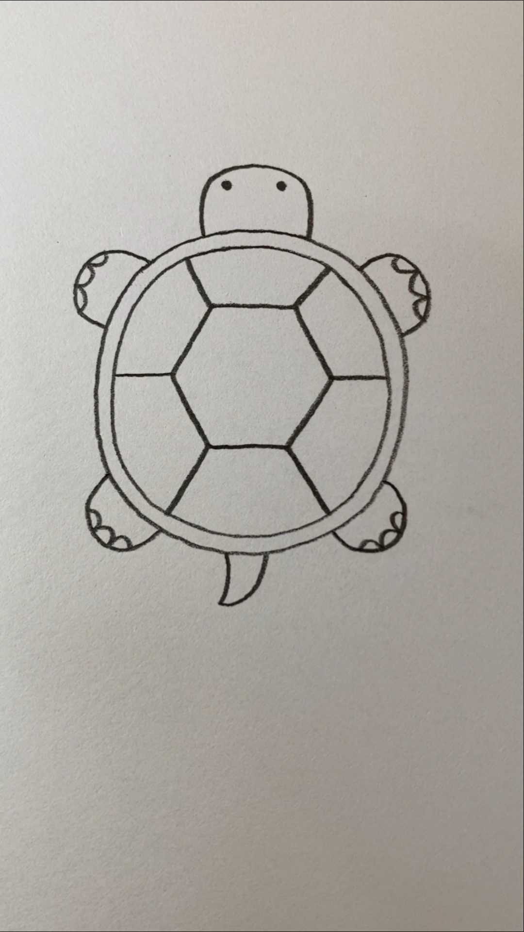 简单的金钱龟画法