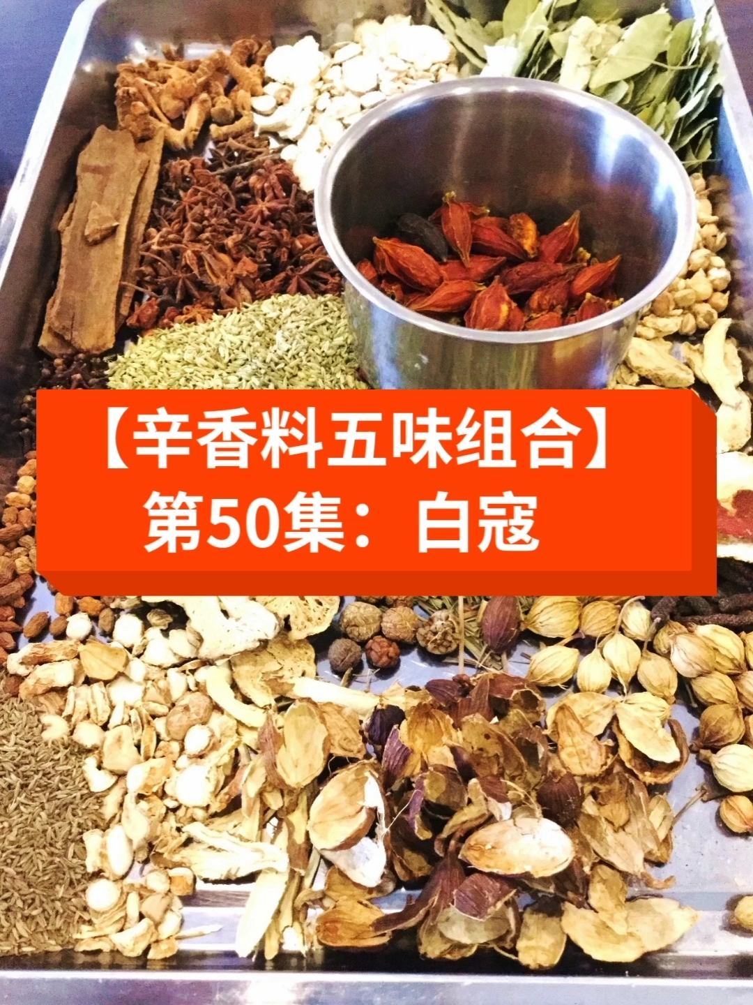 辛香料#【辛香料五味組合】第50集:白寇