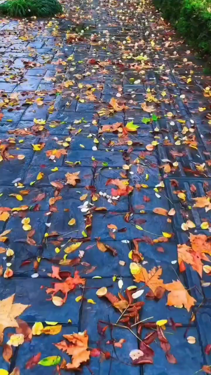 一夜之间这座城就冷了不管天气怎样给自己的世界一片晴朗让自己的内心