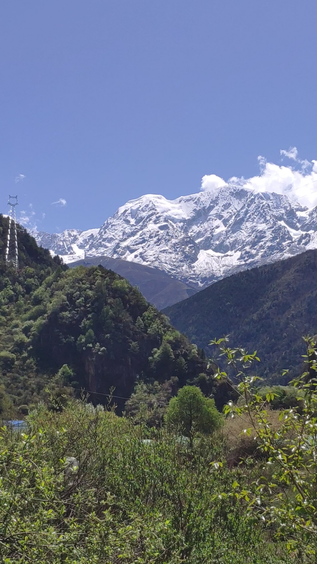 你好,夏天#国道318带你一天走四季