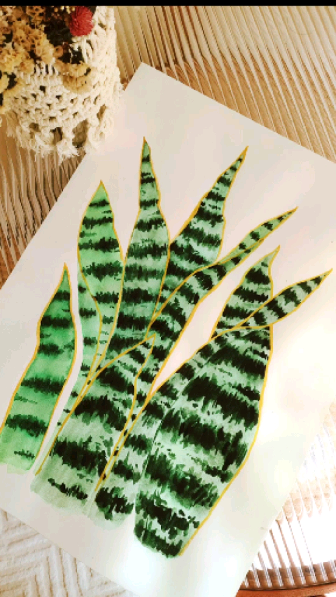 手绘#水彩金边虎皮兰