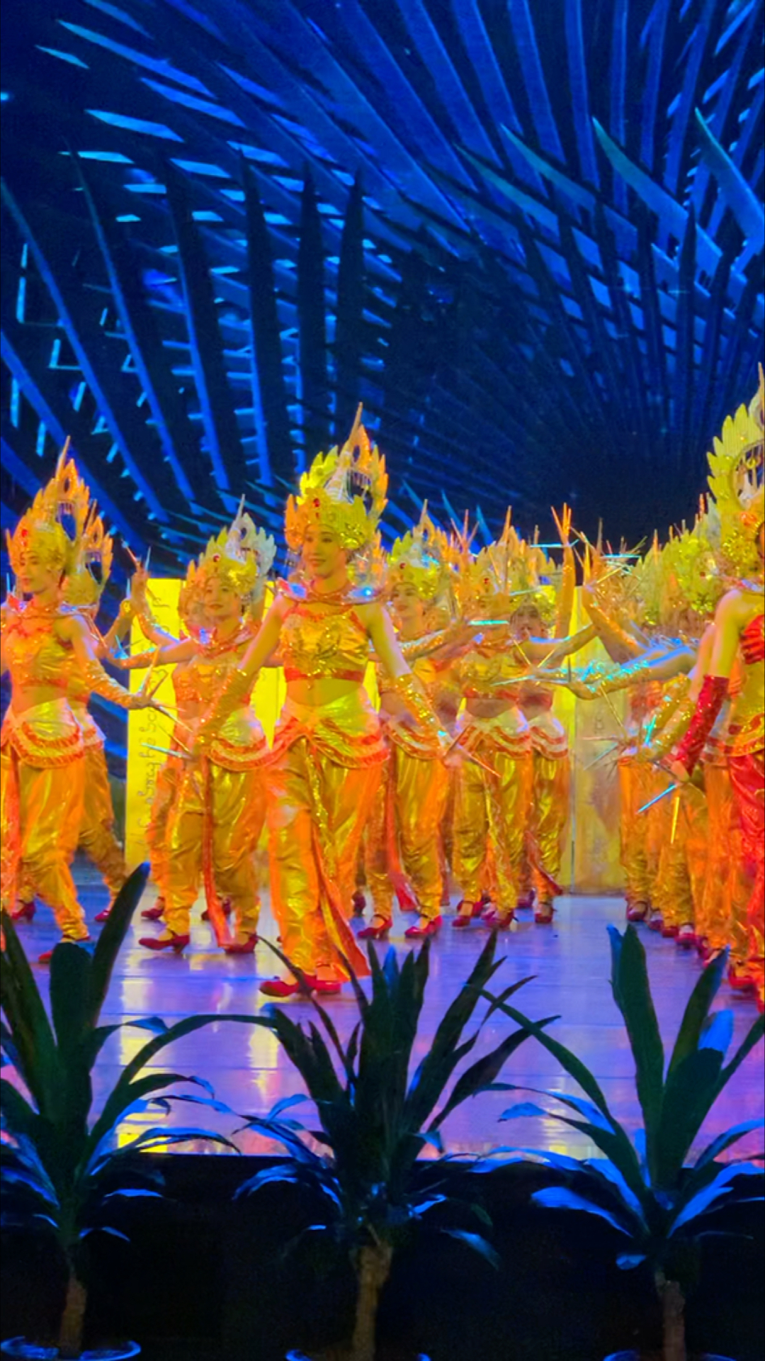 美丽神奇的西双版纳傣家姑娘