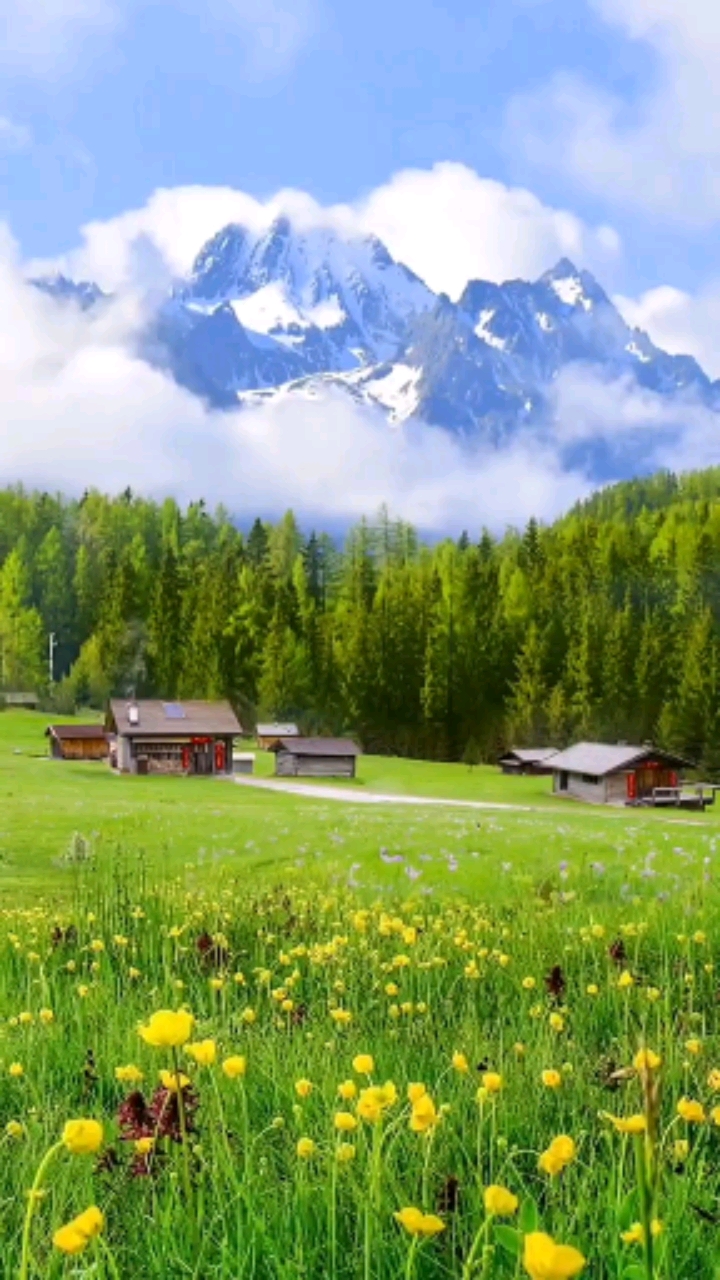 不知道这样的景色能否治愈你的心情?#风景