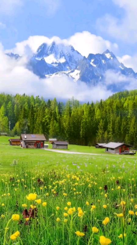 不知道这样的景色能否治愈你的心情?#风景