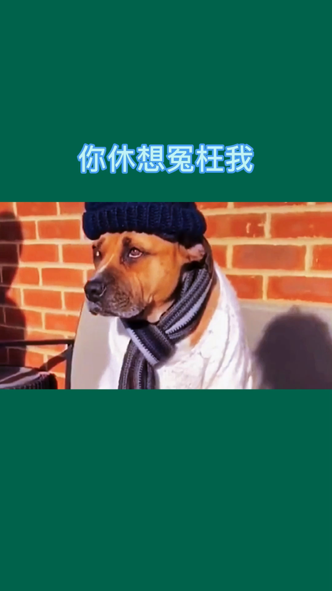 搞笑配音#我不吃海鲜你别想冤枉我