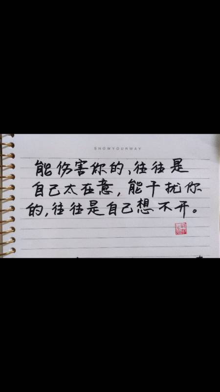 情感手写#那你能放下心中执念吗?