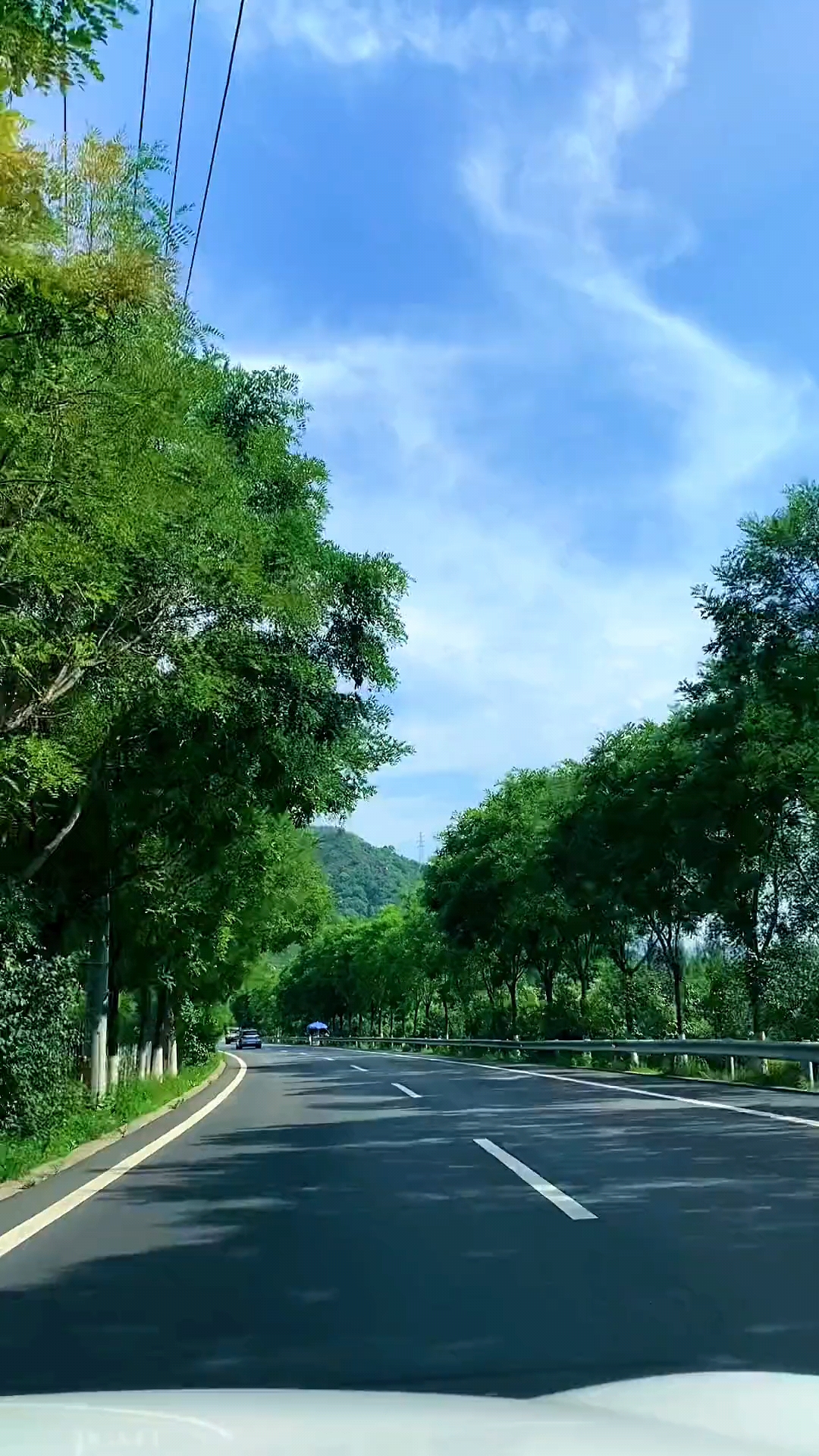 沿途风景,感受春的气息.