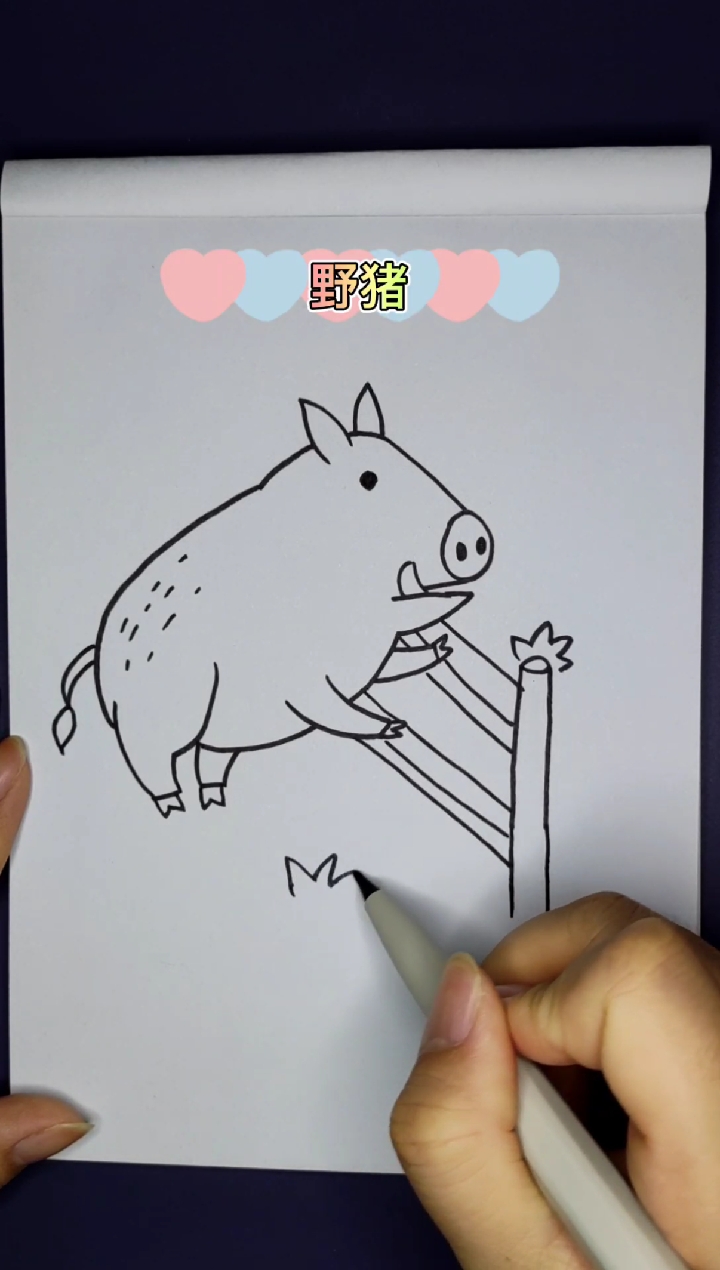 野猪画简单图片