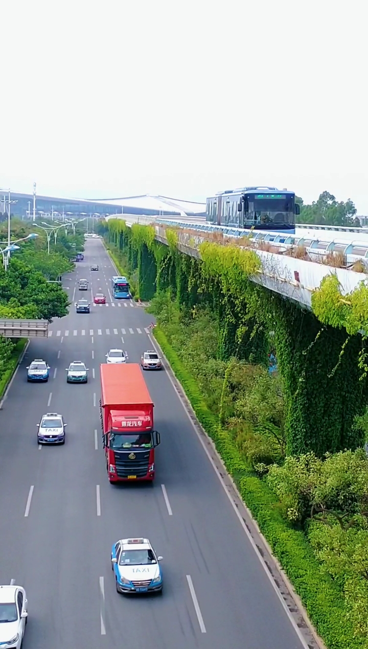 夏日旅行目的地#厦门最便捷的交通工具,城市的空中巴士,从不堵车.