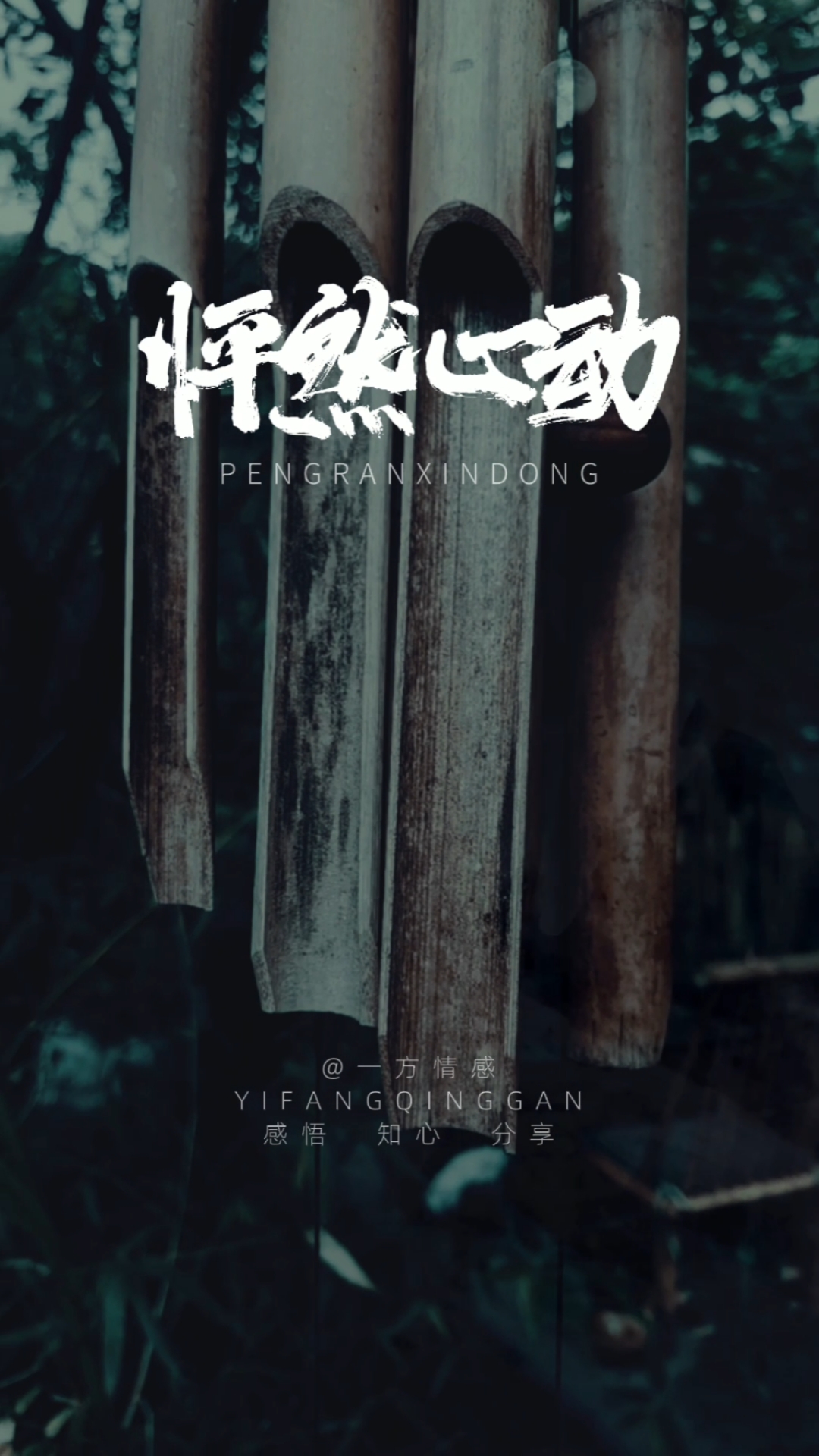 情感故事#明知不可为而为之的坚定