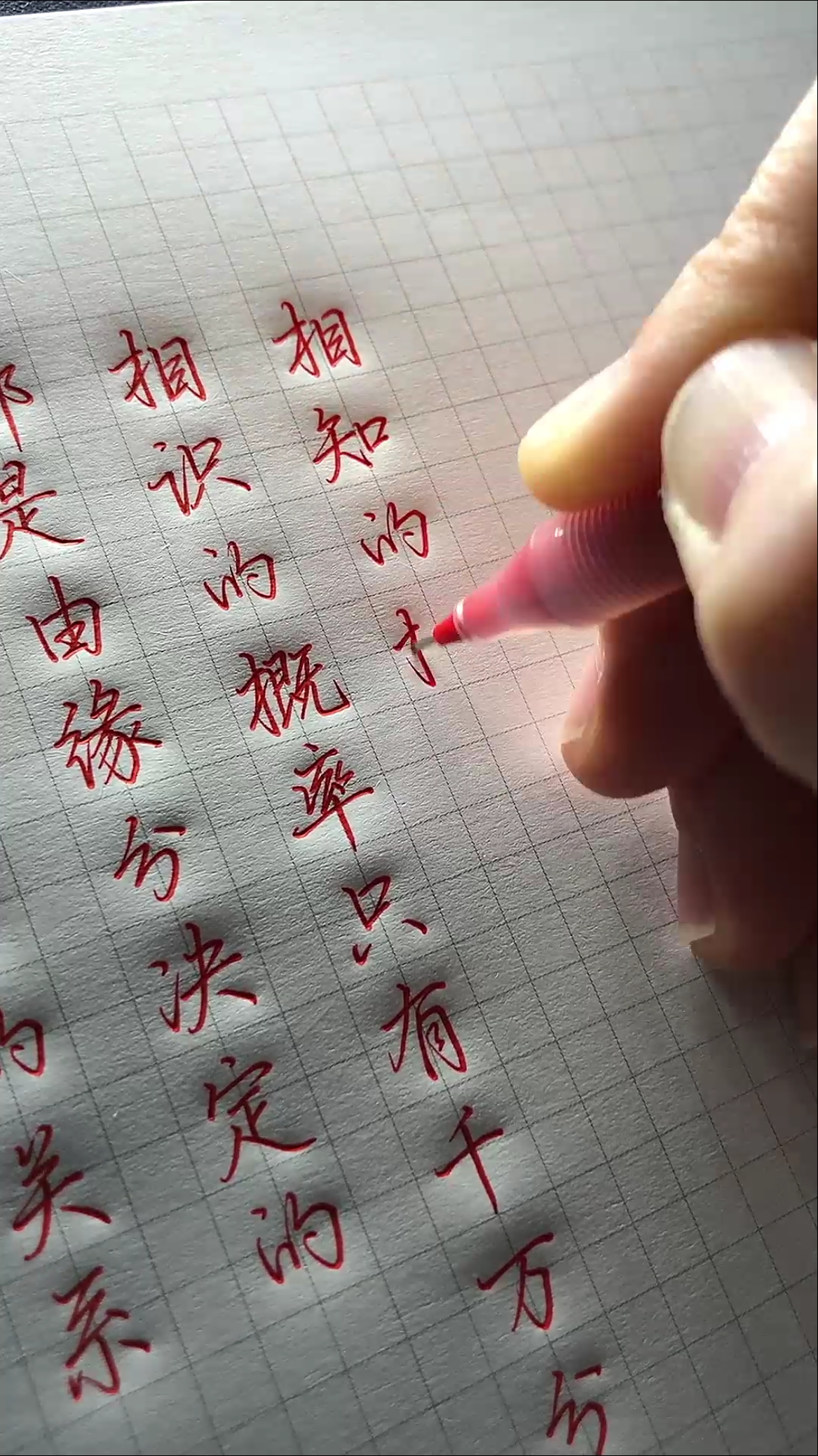 手写文字#相遇即是缘