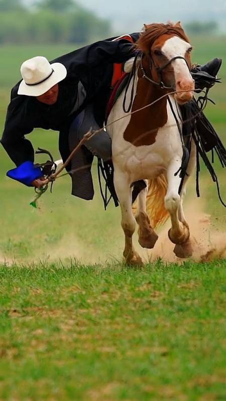 马背民族的日常捡马鞭套马杆