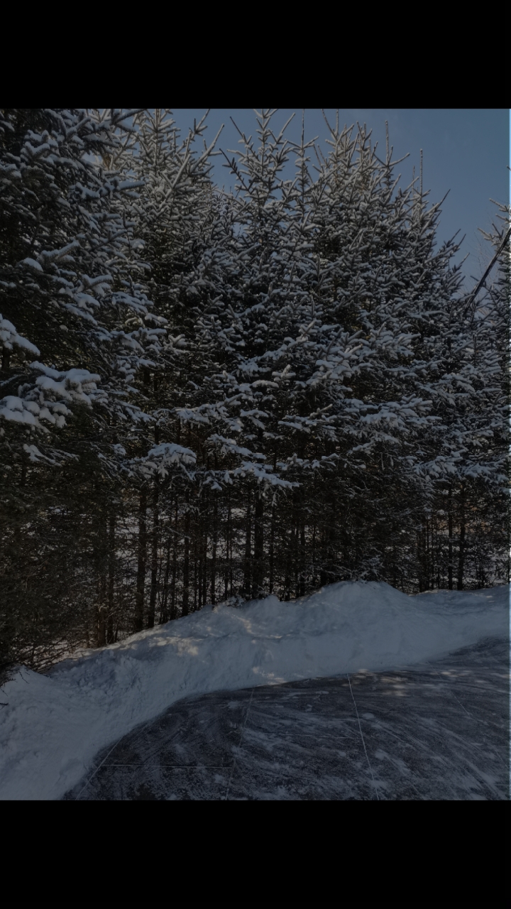 东北的天气有个性三月份还在下雪
