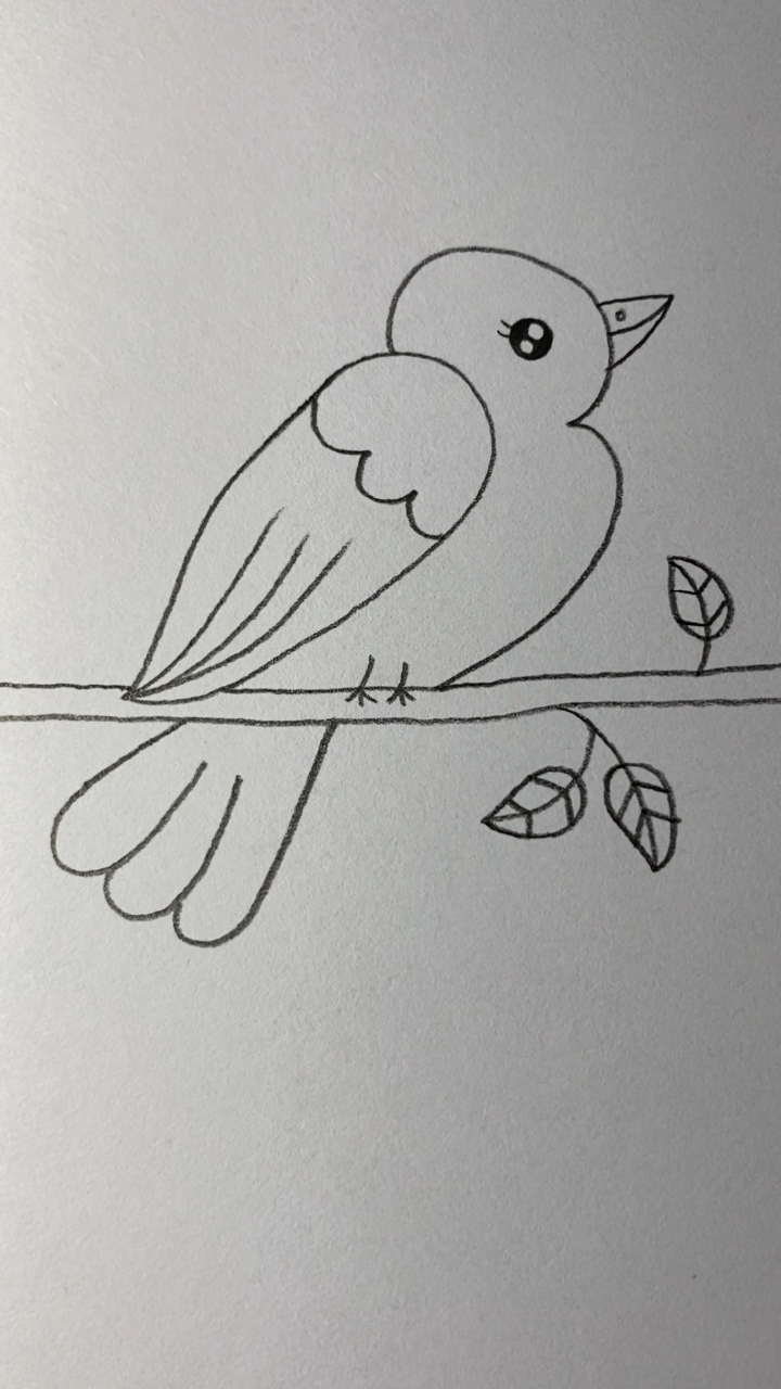 黄鹂鸟简笔画工笔图片