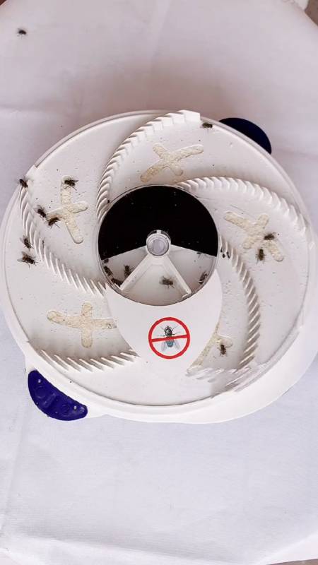 苍蝇多,用这个捕蝇神器,一天抓一盘没问题!