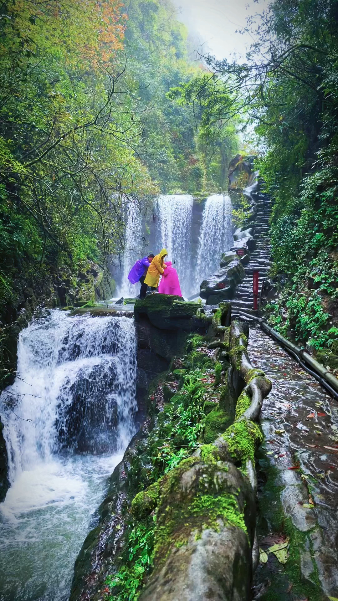 我的私藏景点湖南湘西坐龙峡