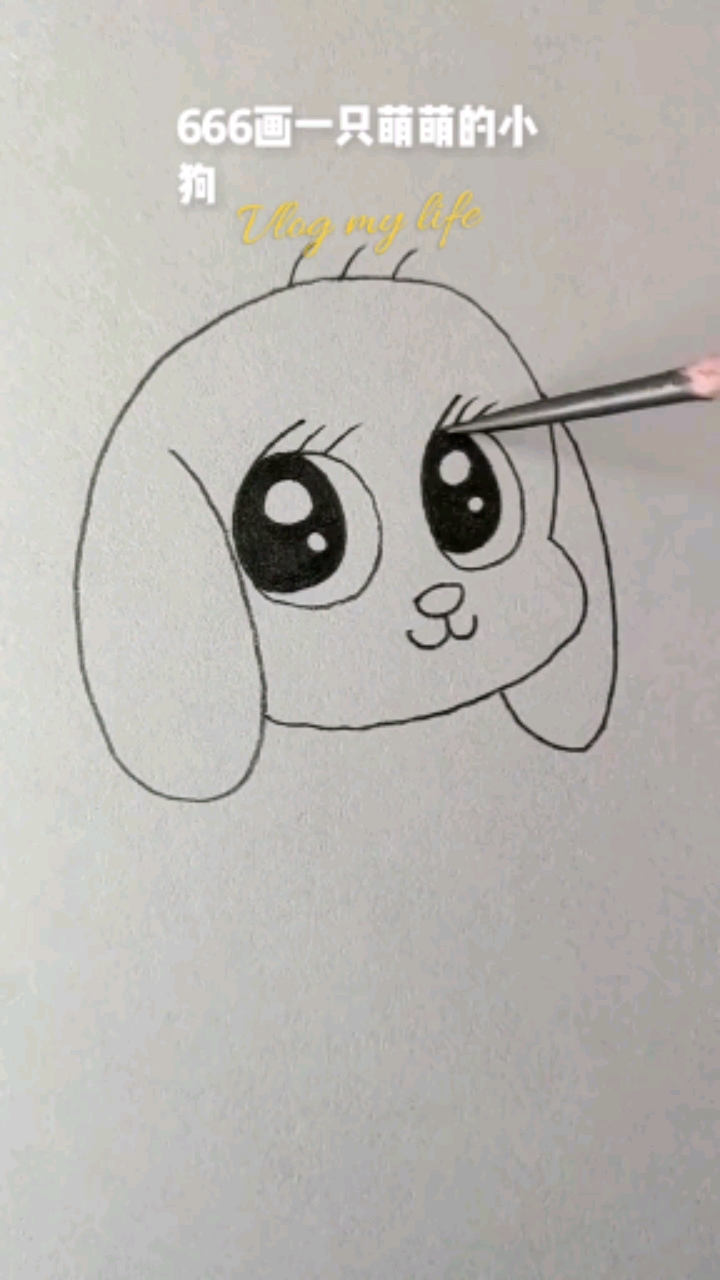 简笔画小朋友们跟着小博老师来画小奶狗