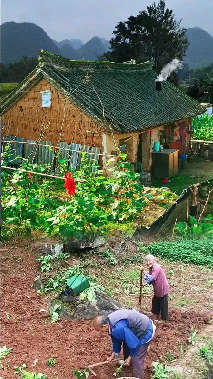 乡村生活 一辈子不求大富大贵