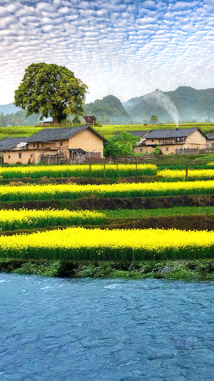 这一年中最美的季节,泥土的清香味和油菜花的香味弥漫于群山沟渠.
