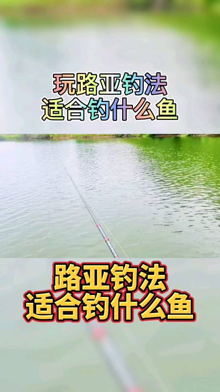 钓鱼玩路亚钓法适合钓什么鱼