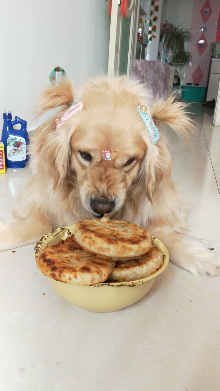 我这的特产肉火烧,有食欲吧,不住的扔他能呲到第二天天亮信不?