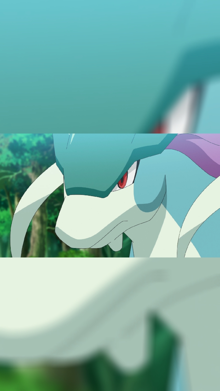 动漫##精灵宝可梦#水君自愿被小豪收服,这待遇小智也该有,哈哈,你也