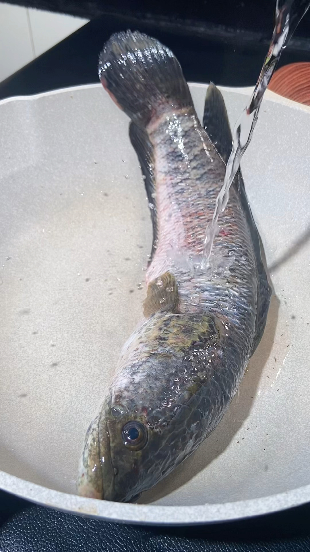 乌蚌千万不要红烧清炖,这样做鱼好吃-度小视