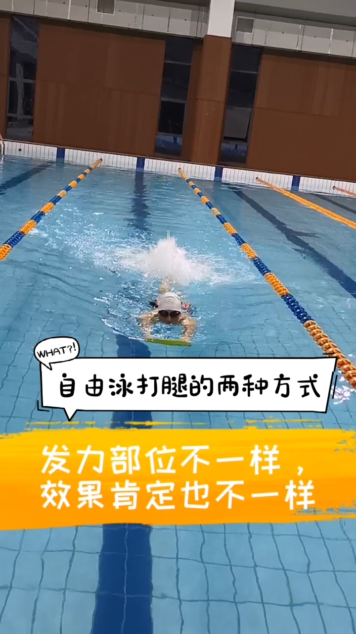 游泳网教#自由泳打腿的两种方式