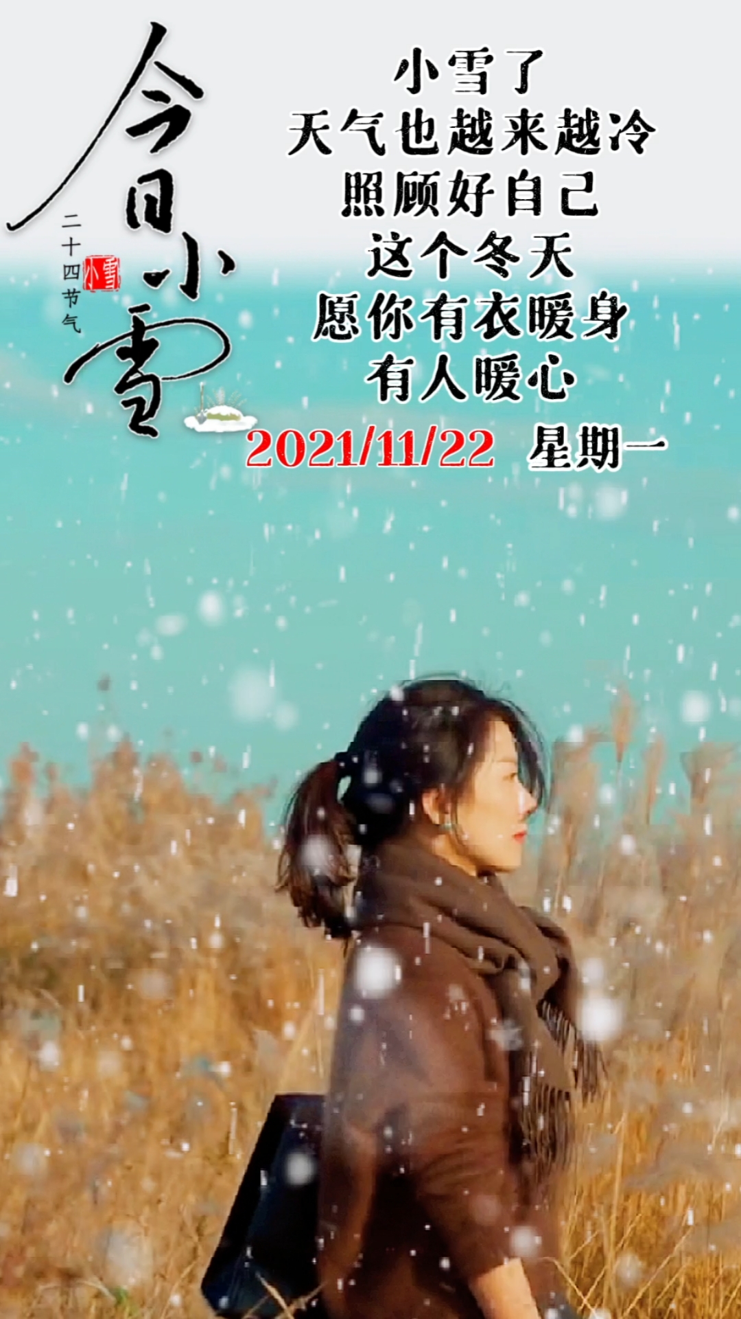 今日小雪,照顾好自己,愿你衣暖心暖.