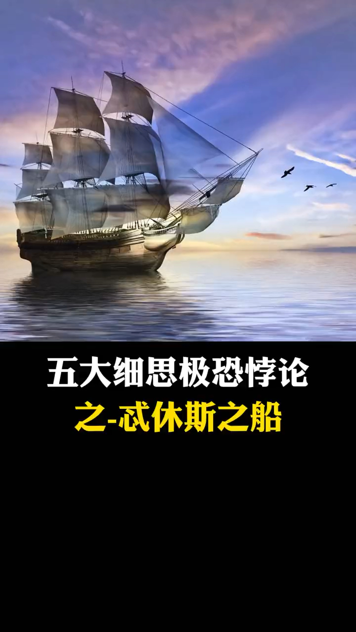 知识科普五大细思极恐悖论之忒修斯之船
