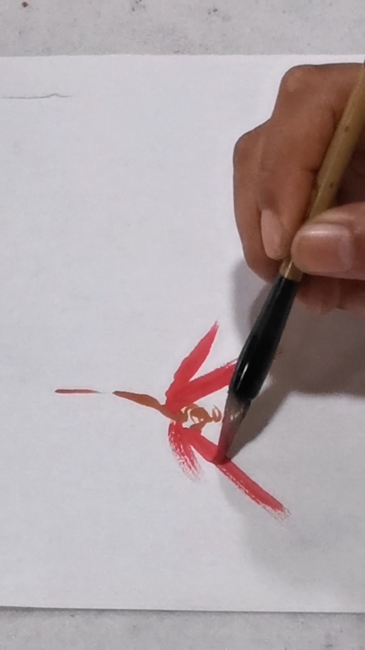 绘画画红蜻蜓绘画过程分享