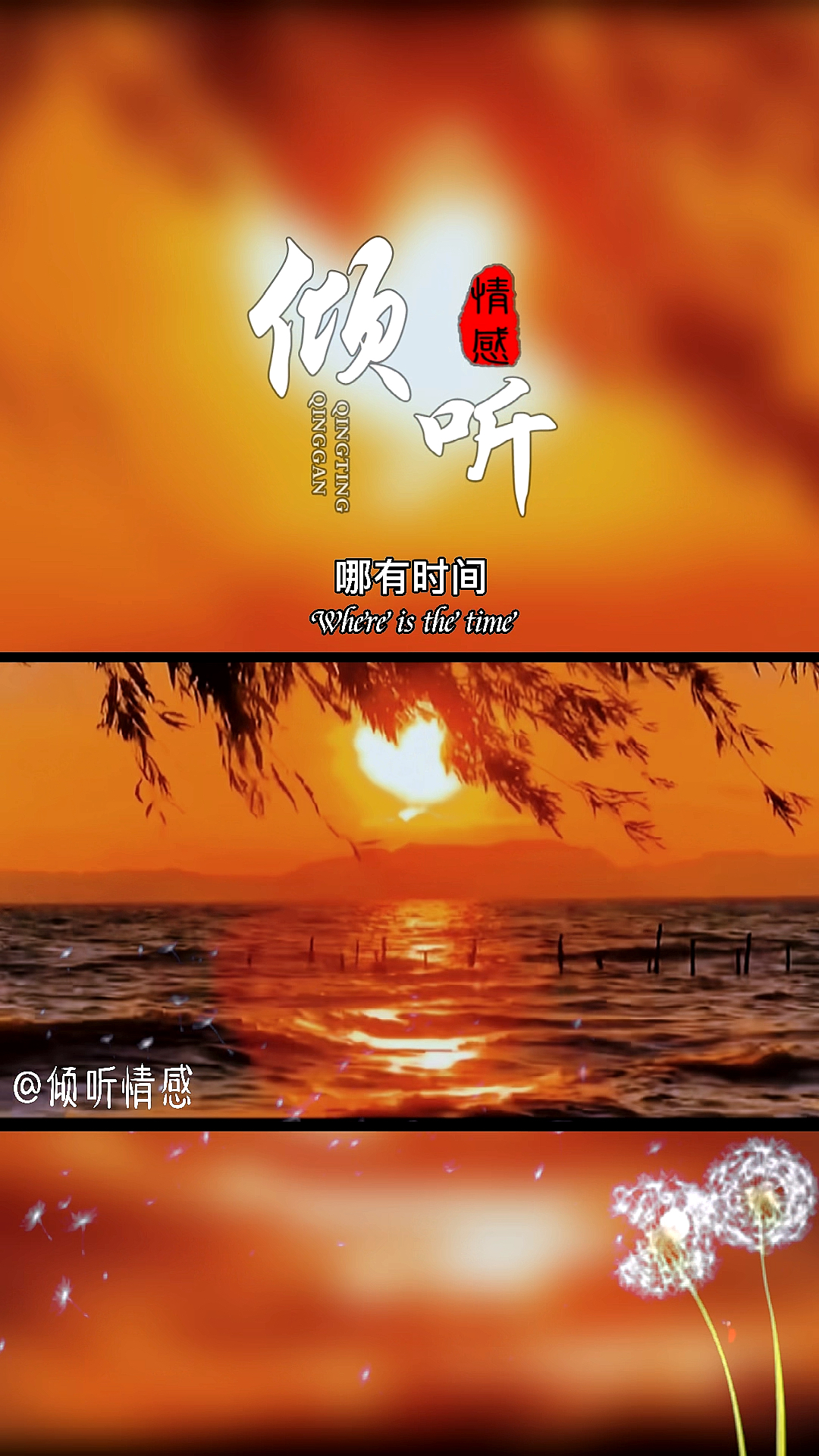 情感共鸣#女孩子一定要自信