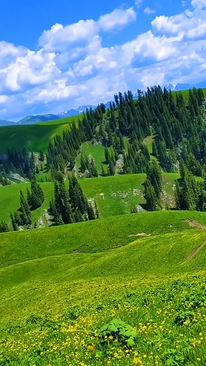 旅游进行时#那拉提大草原风景欣赏