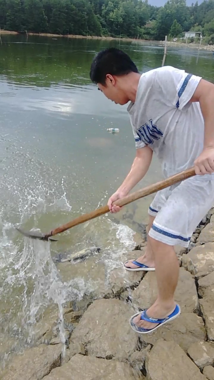 户外抓鱼#看到这一幕,所有人都惊呆了!