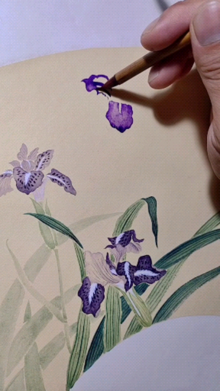 没骨法画鸢尾花