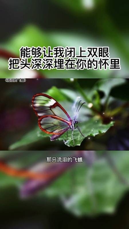 记录生活#心里的事向谁诉说