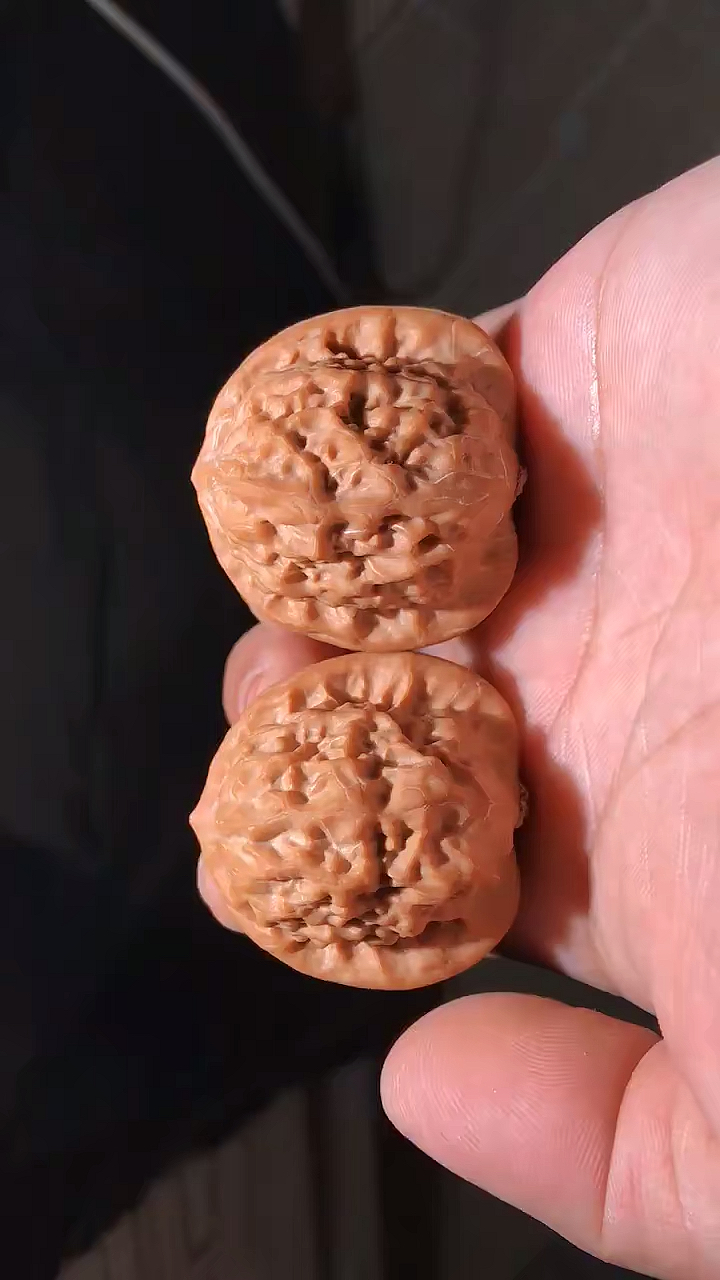 文玩核桃#瓷娃娃,包浆挂瓷王