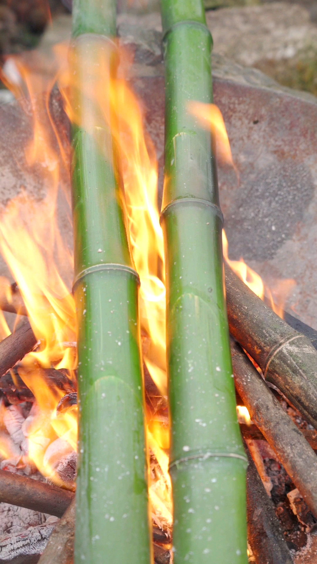 家乡特色美食竹子怎么吃砍一根回家直接用火烤最后竹沥太美味了