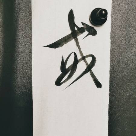 成年人练书法#凡书者,戒急戒躁