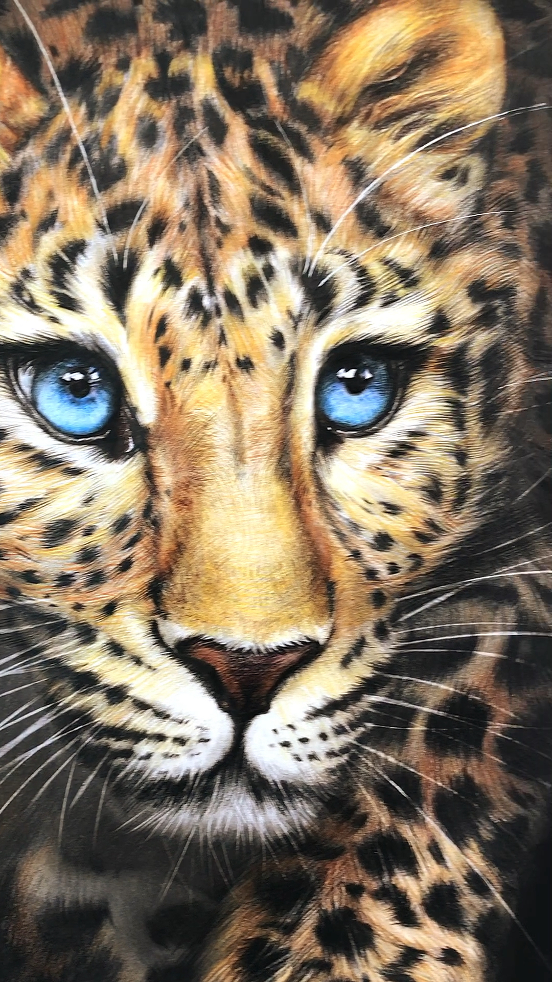 画室同学画的金钱豹,太真实了!感觉快从纸里跃出来了