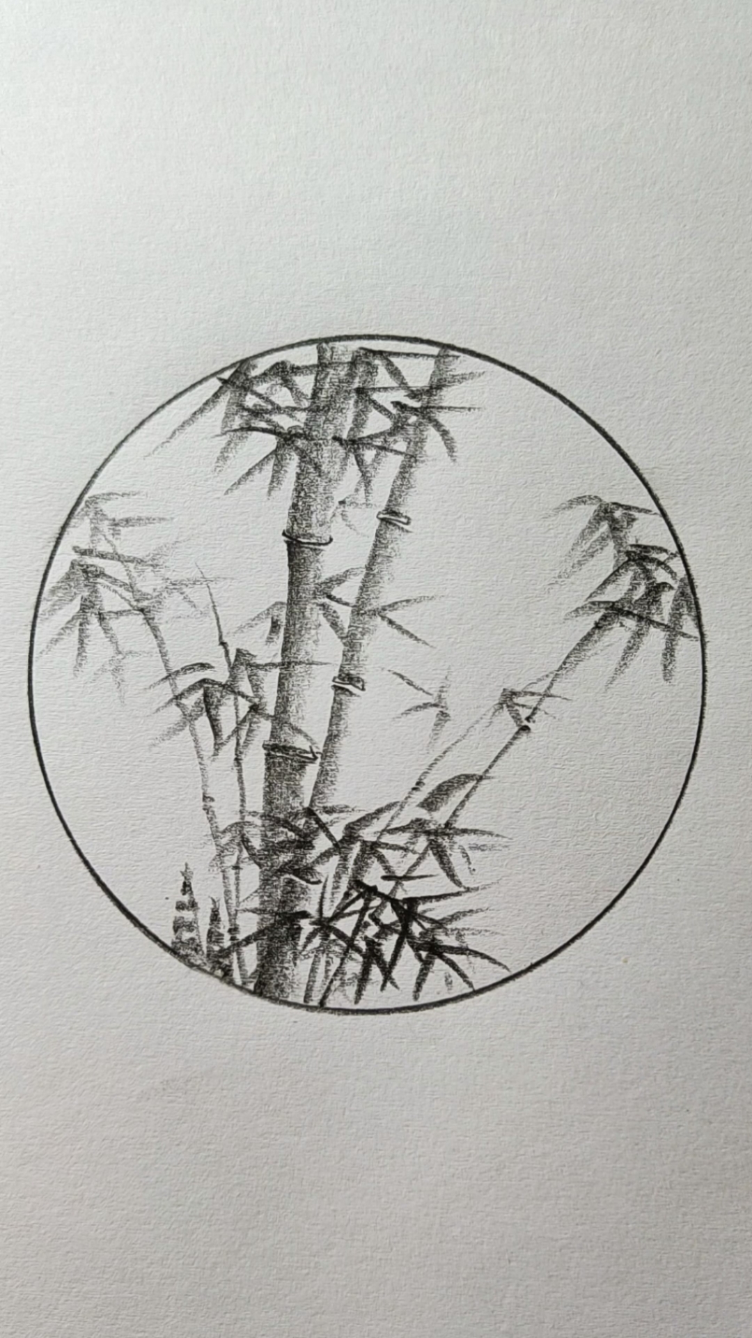 竹子铅笔画素描图片