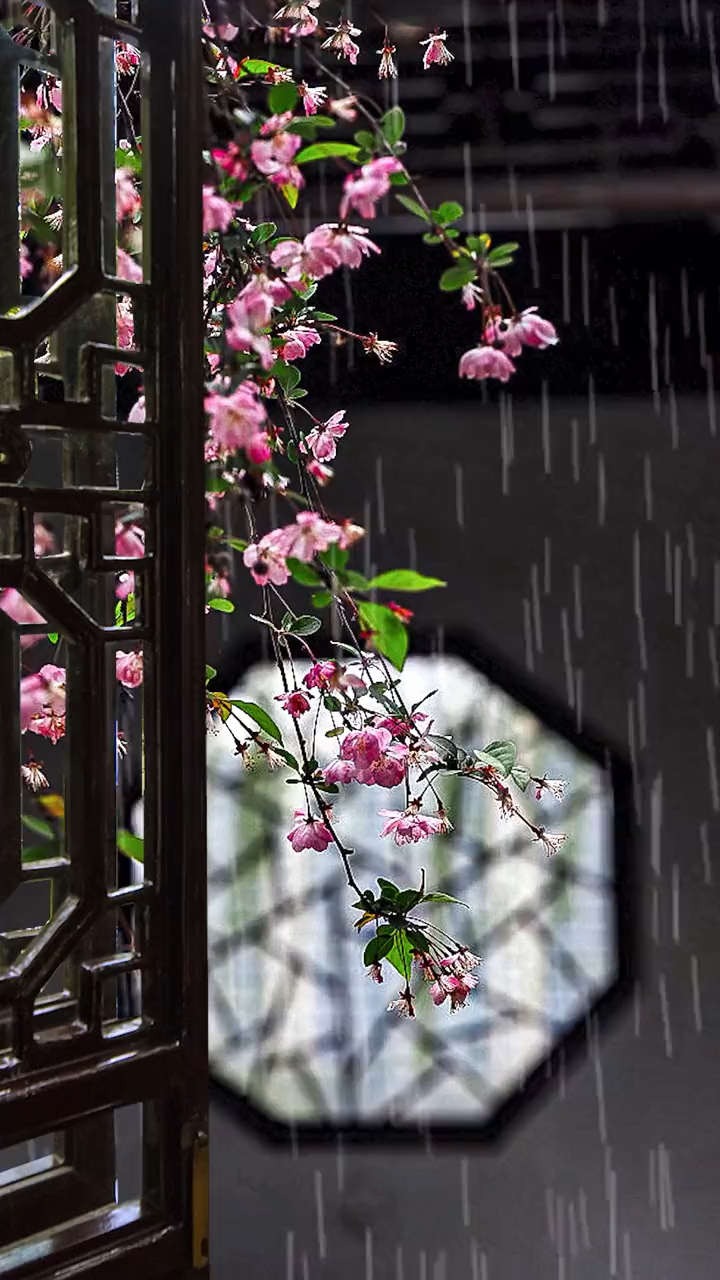 清明节夜来风雨声花落知多少冥冥重泉哭不闻萧萧暮雨人归去