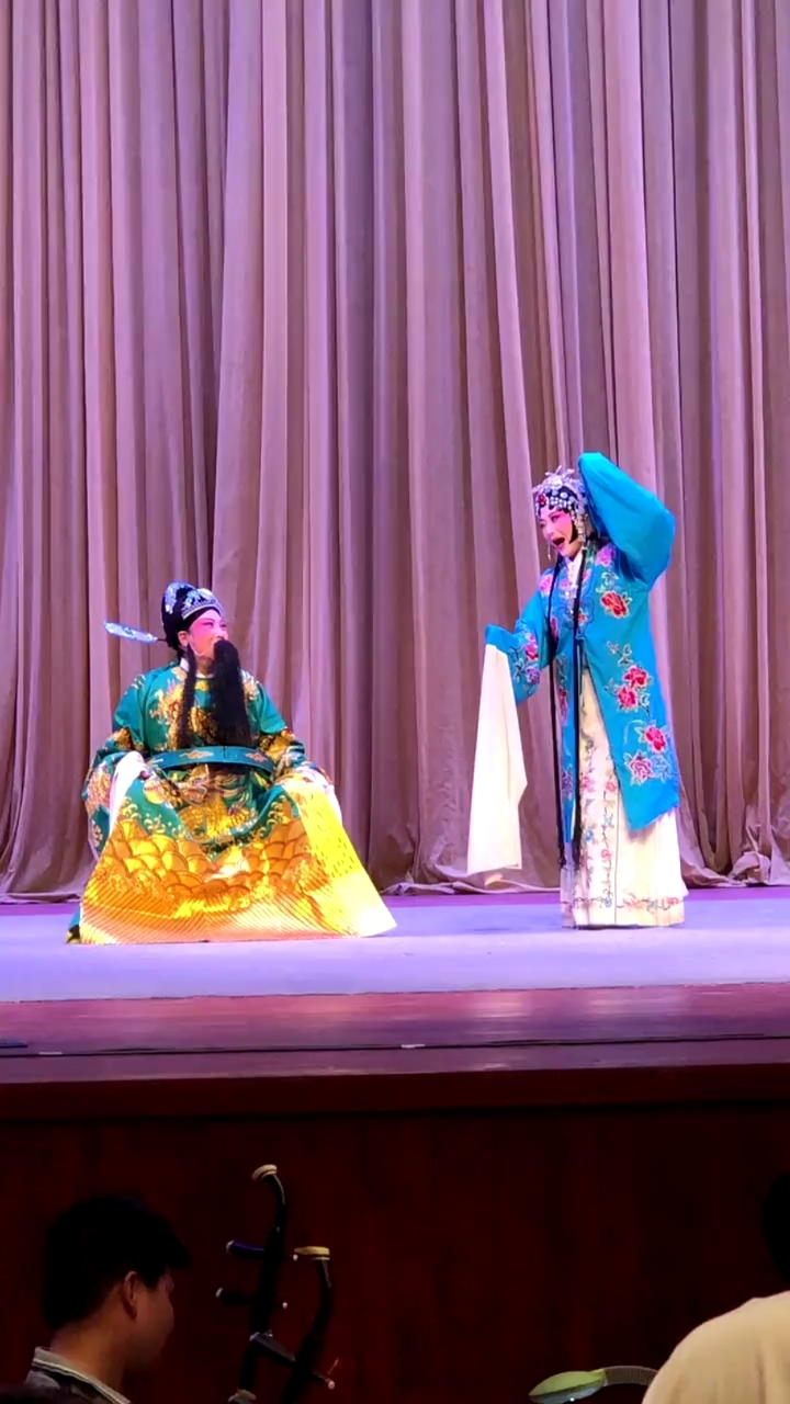 河南越调#越调《东亭恨》又名《双灵牌》襄城县越调剧团优秀青年演员