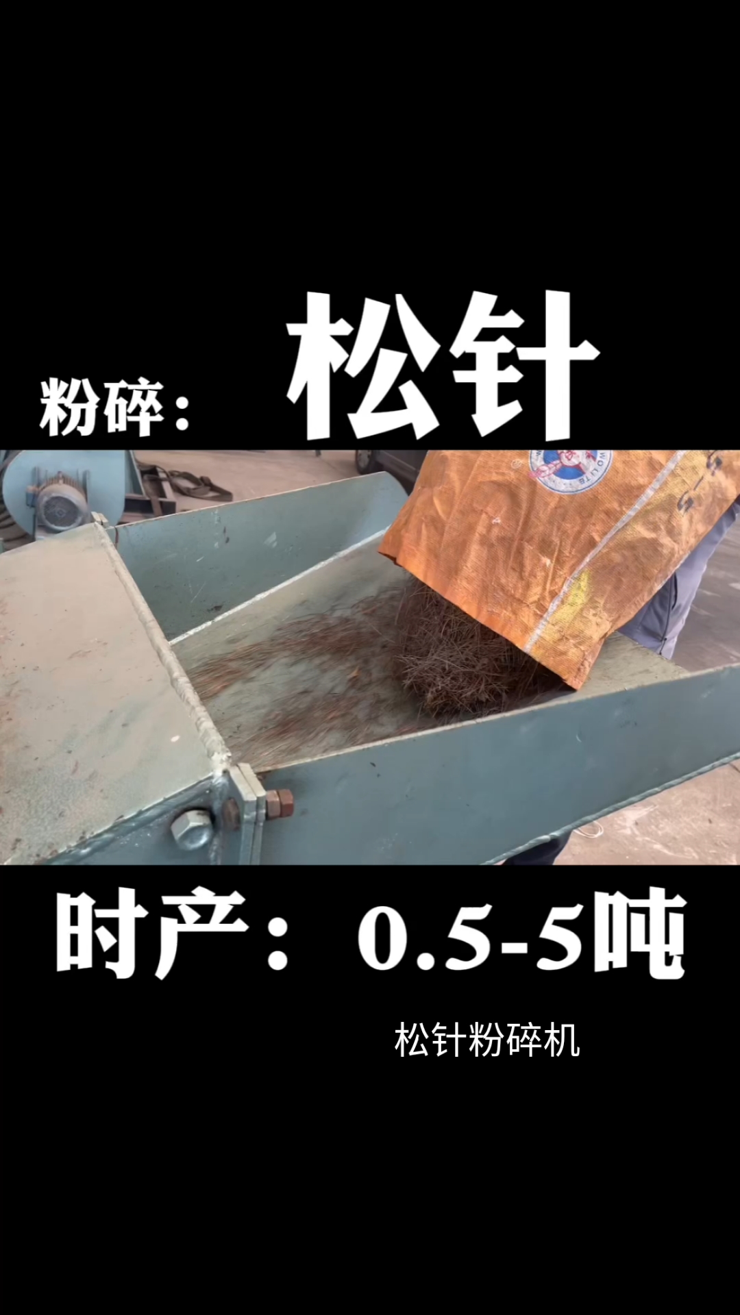 松针粉碎机#松针经过松针粉碎机粉碎发酵腐熟后可以做腐殖土或腐叶土