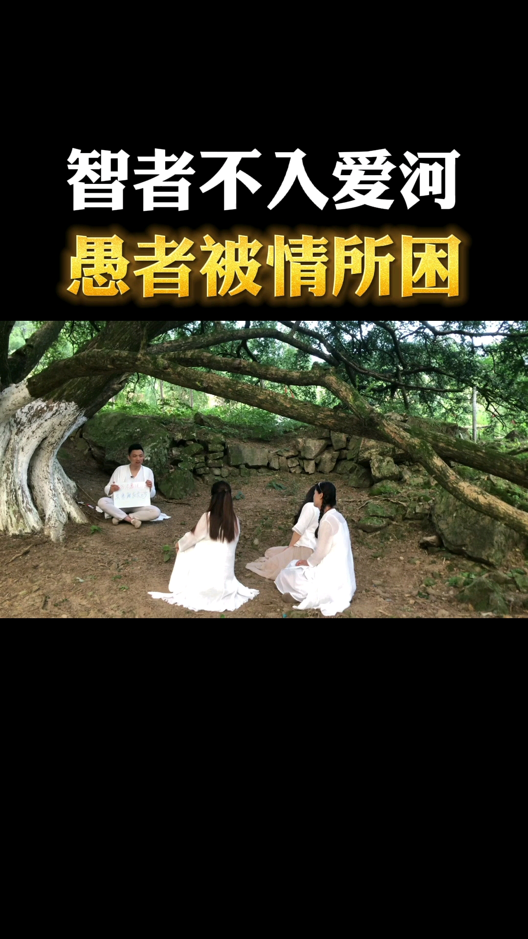 为什么:智者不入爱河,愚者为情所困?