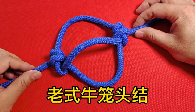 实用绳结单绳牛笼头结你学会了吗